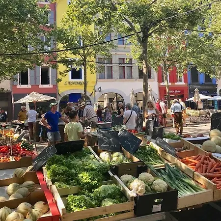 Belle Demeure De Caractere Βίλα Καρκασόν