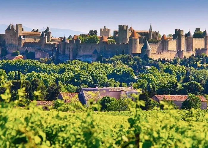 Belle Demeure De Caractere * Καρκασόν